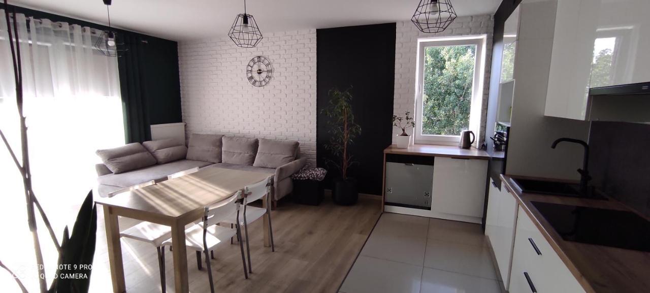 Apartament Julia 格但斯克 外观 照片