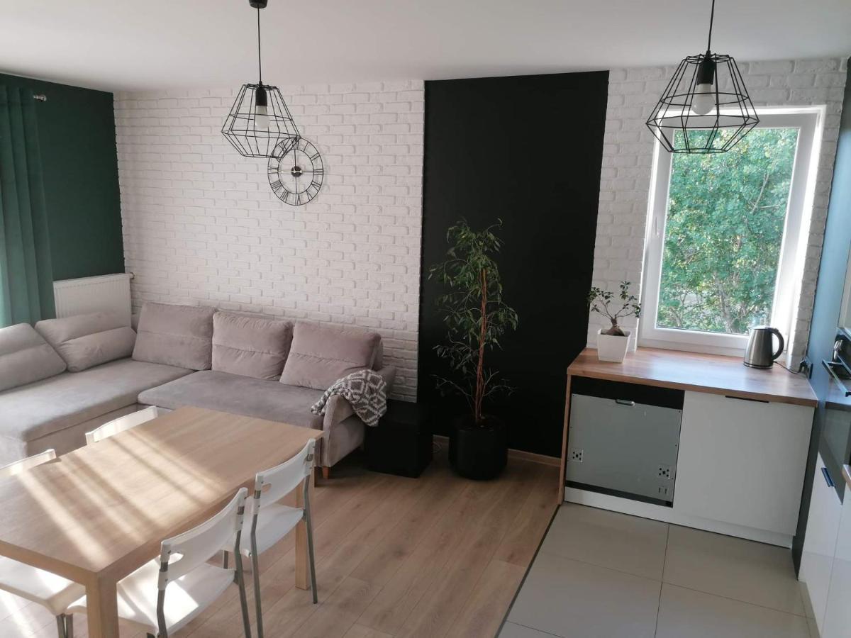 Apartament Julia 格但斯克 外观 照片