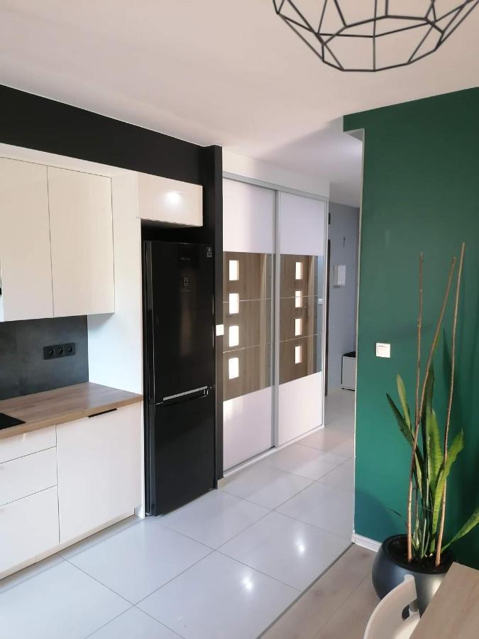 Apartament Julia 格但斯克 外观 照片